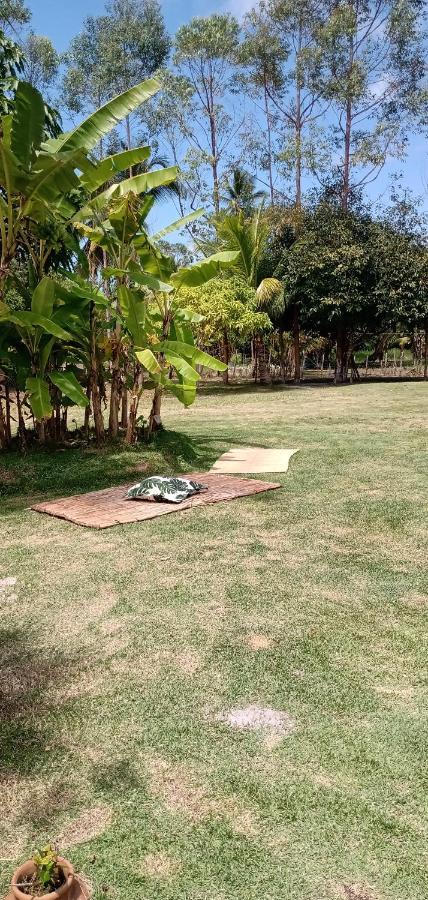 Cantinho Da Paz Ilheus Ngoại thất bức ảnh