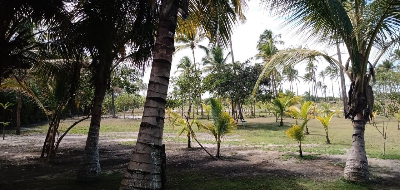Cantinho Da Paz Ilheus Ngoại thất bức ảnh